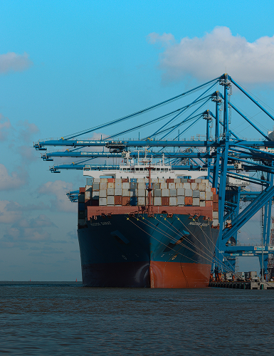 shipping